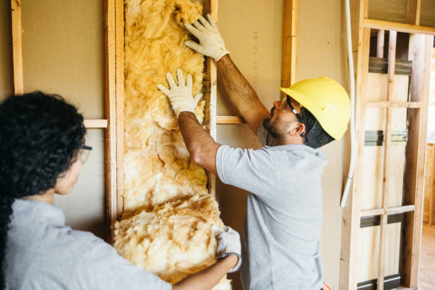 Best Crawl Space Insulation  in Oak Hills, CA